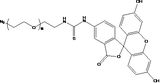 FITC-PEG-N3,荧光素PEG叠氮