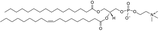 1-棕榈酰基-2-油酰基卵磷脂,POPC ​
