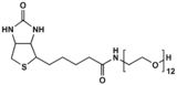 (+)-Biotin-PEG12-OH，生物素十二聚乙二醇羟基