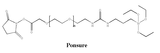 硅烷PEG活性酯 SILANE-PEG-NHS