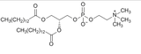 二肉豆蔻酰磷脂酰胆碱,DMPC
